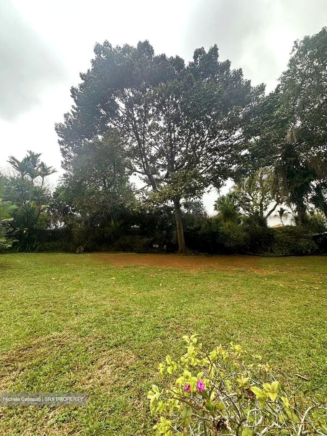 Bin Tong Park (D10), Detached #441820401